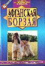 Афганская борзая