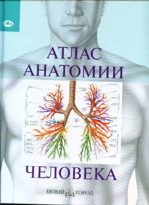 3Д Атлас Анатомии Человека - instructionspec