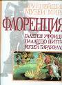 Флоренция. Галерея Уффици. Палаццо Питти. Музей Барджелло