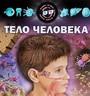 Тело человека