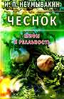 Чеснок: мифы и реальность